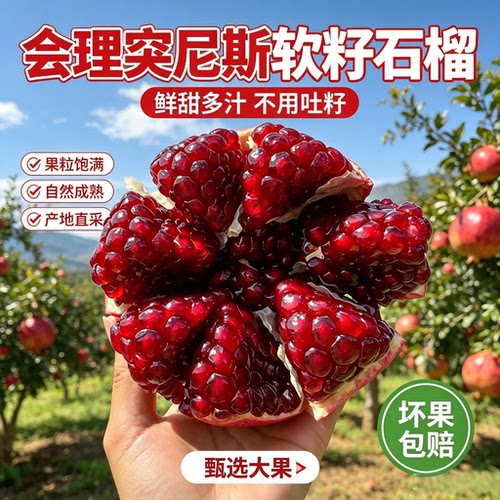 四川会理突尼斯软籽石榴
