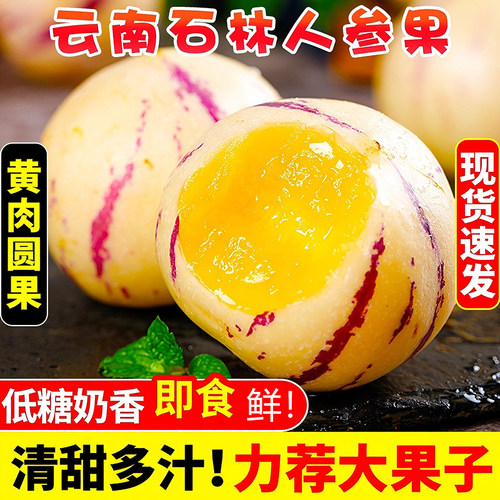 云南石林人参果树上熟