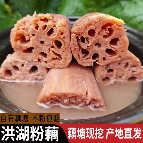 正宗洪湖莲藕新鲜粉藕脆藕藕粉
