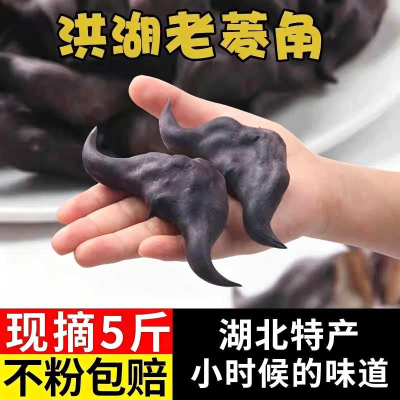 洪湖老菱角新鲜生棱角湖北特产现摘粉糯黑菱角嫩凌角大菱角米蔬菜