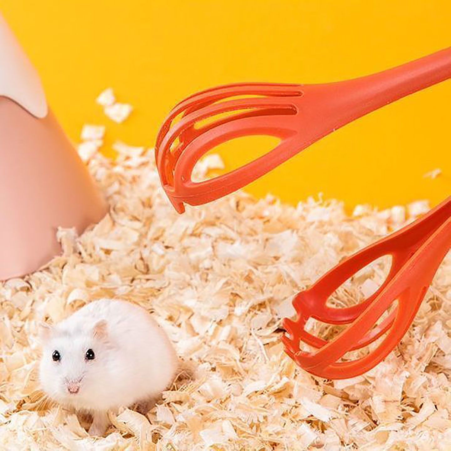 捕鼠仓鼠夹老鼠玩具防咬喂食神器金多功能清理三合一