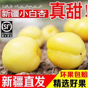 新疆小白杏新鲜水果4斤当季孕妇甜杏子喀什伽师县黄杏原产地发货