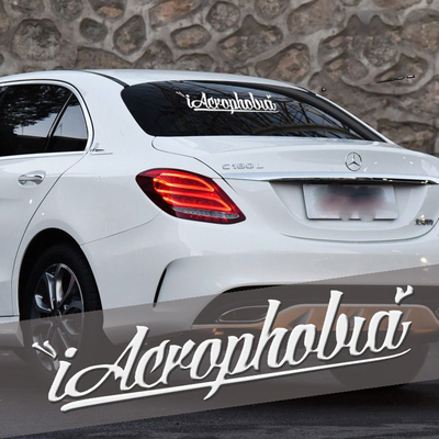 前后挡风玻璃车身贴纸改装