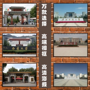 青海大学/青海师范民族大学/西藏大学/新疆大学/河石子大学装饰画
