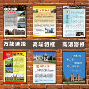 剑桥大学/加州理工学院/芝加哥大学海报名高校相框装饰挂贴大壁画