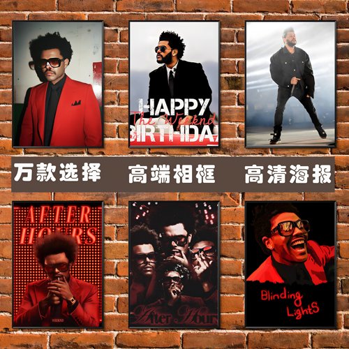 TheWeeknd威肯海报盆栽装饰画