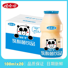 20瓶饮品儿童营养早餐益生菌整箱送礼 娃哈哈呦呦君乳酸菌100ml