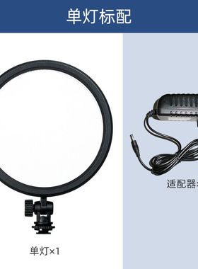 雷普曼CM200D手持便携式LED补光灯直播美食拍照摄影灯单反相机用