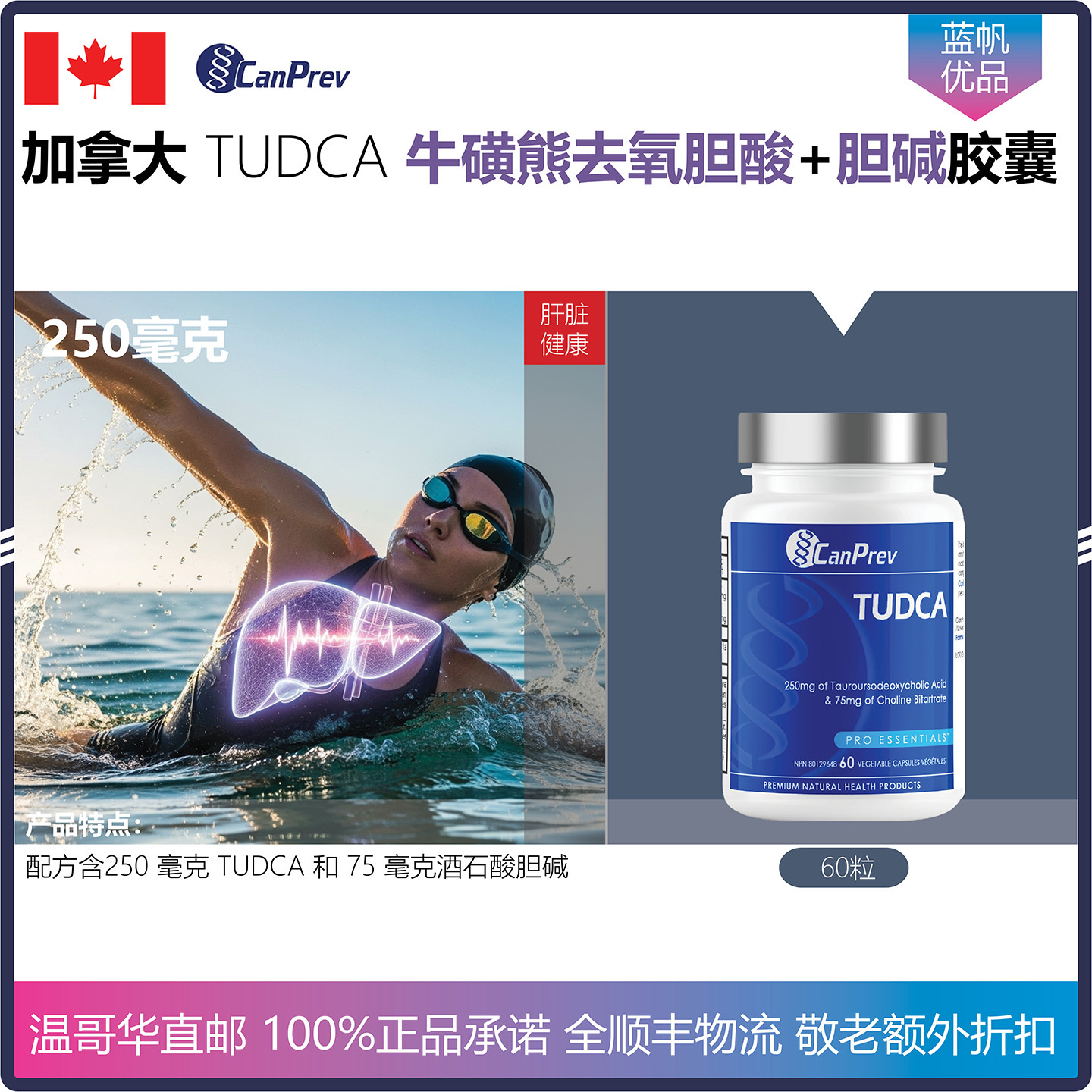 【温哥华顺丰】60粒 加拿大CanPrev TUDCA牛磺熊去氧胆酸胶囊