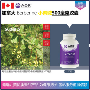 【温哥华顺丰】60粒 加拿大AOR berberine 小檗碱胶囊500毫克血脂