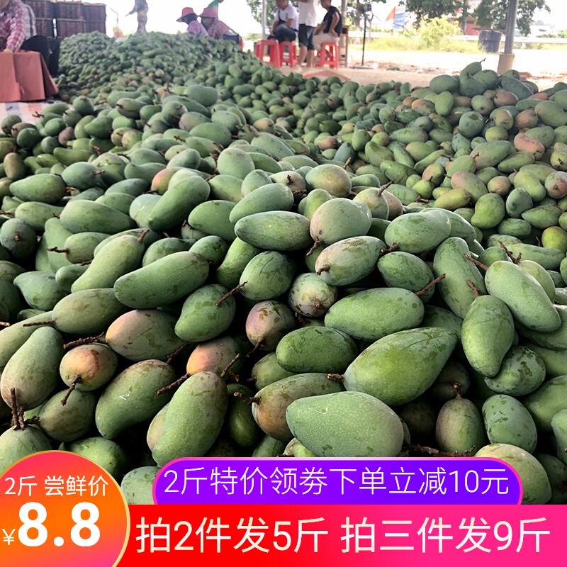 云南金煌青皮芒果2斤装单果150g 当季新鲜水果整箱包邮 需催熟