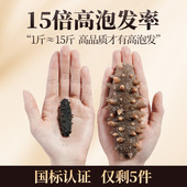 张珍记淡干海参礼盒250g正品 官方旗舰店海鲜干货大连辽参年货礼物