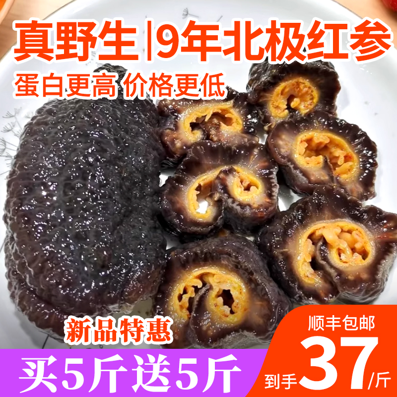 张珍记野生红极参加拿大正规进口
