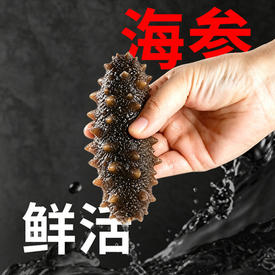 张珍记正宗大连深海底播野生海参