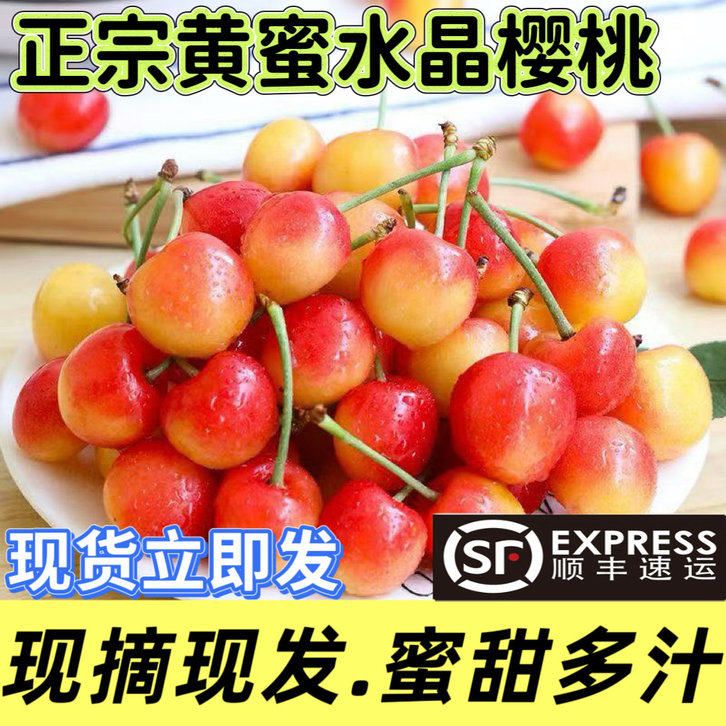 2026山东黄蜜水晶大樱桃新鲜水果黄金雷尼车厘子甜蜜多汁现摘现发