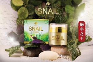 泰国蜗牛霜PERFECT SNAIL蜗牛之王面霜滋润补水修复面霜50ML