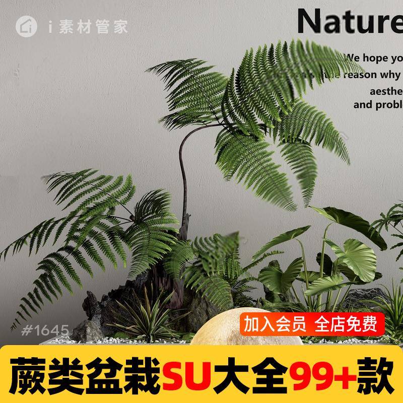 蕨类盆栽SU模型素材库室内设计绿植造景装饰摆件草图大师sketchup