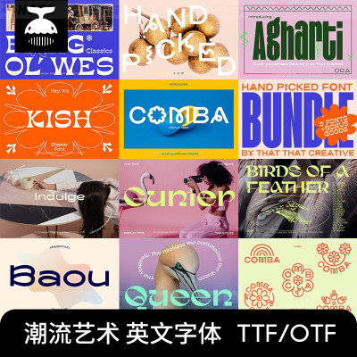 艺术设计师字体包ps/ai/procreate海报电脑英文字体ttf安装包下载