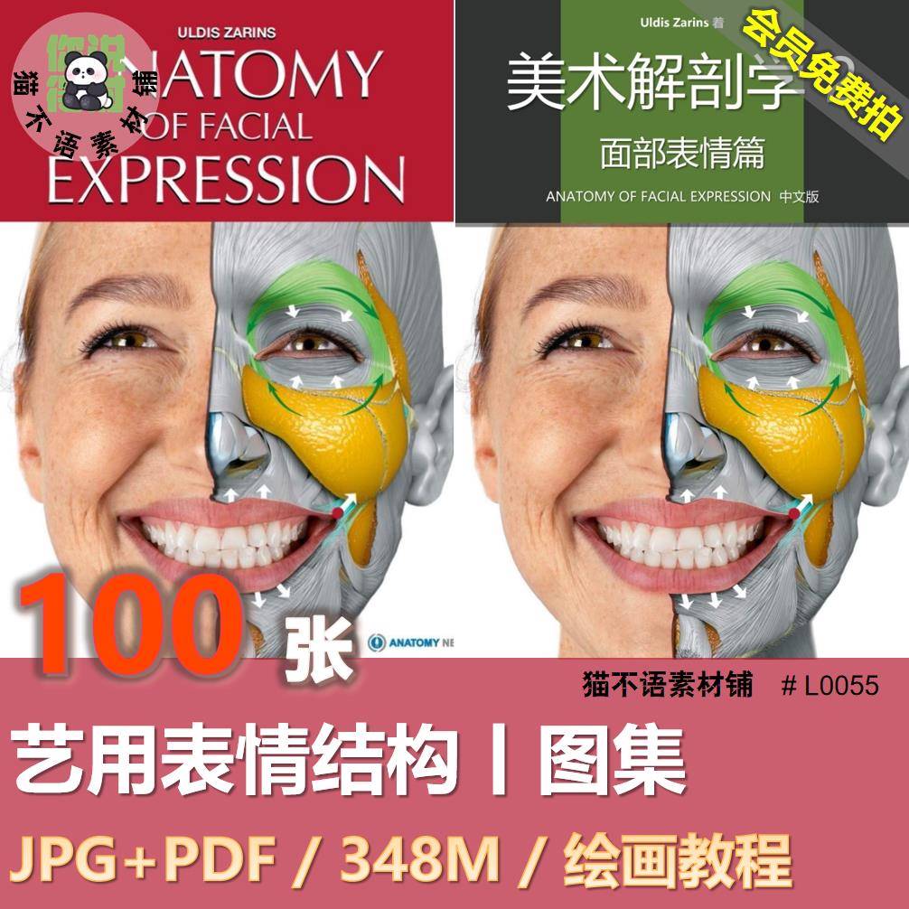艺用表情结构脸部解剖角色表情动态绘画教程美术PDF临摹参考素材