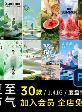 D773夏至节气高端海报简约汽车医美地产品牌创意设计源文件PSD