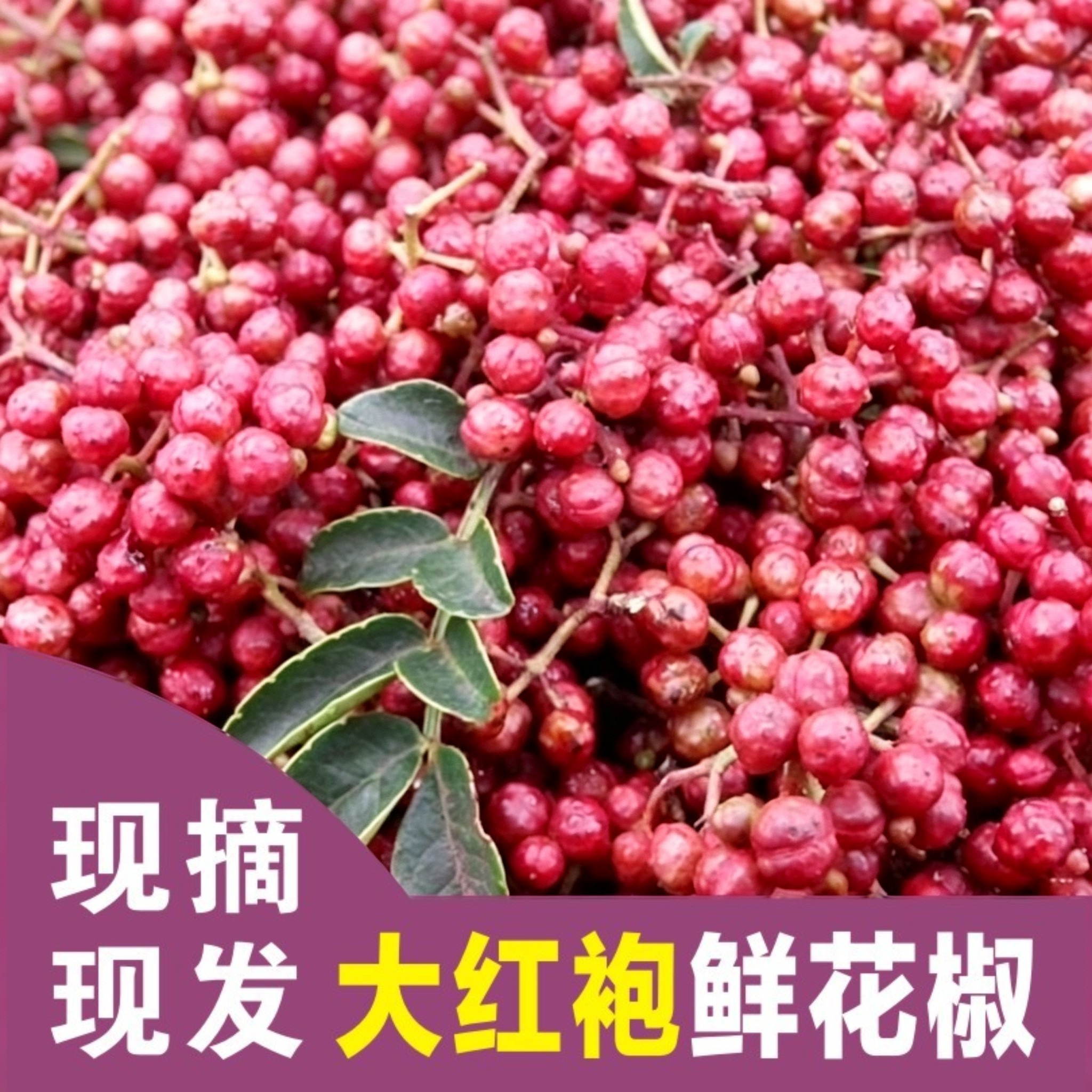 陕西新鲜红花椒青花椒调味料麻椒干椒三斤现摘现发原产地保鲜包邮