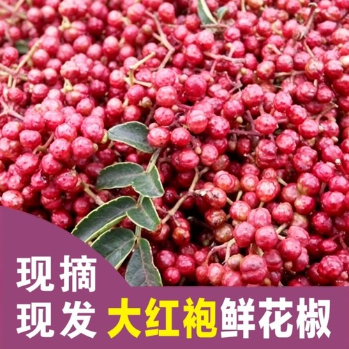 陕西新鲜红花椒青花椒调味料麻椒干椒三斤现摘现发原产地保鲜包邮