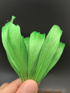 点翠DIY材料包上浆大飘鹅毛染色仿点翠团建活动手工艺体验课研学