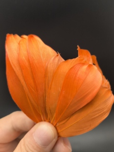 工艺材料diy材料包花母亲节非遗体验橘红色中飘鹅毛仿点翠羽上浆