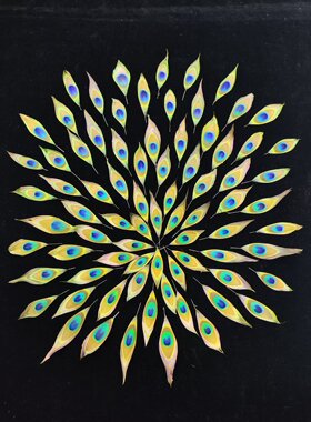 孔雀羽毛上浆过DIY三八节活动研学团建沙龙活动材料包耳饰创新手