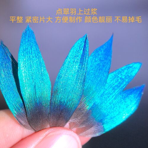 点翠羽毛孔雀脖子蓝片已上浆工艺自然脱落DIY饰品材料基地发货专
