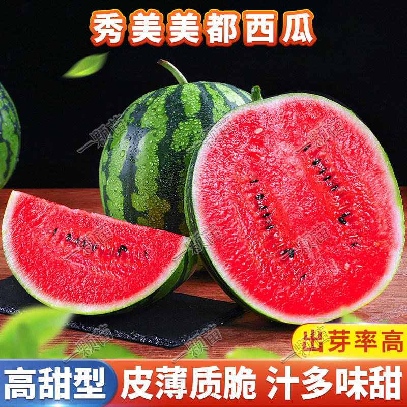早春季美都西瓜种子高产甜薄皮红瓤西瓜种籽南方四季西瓜种孑大全