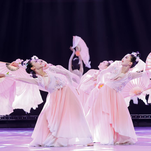 元旦儿童古典演出舞蹈服中国舞花开时节动京城剧目女童表演练功服