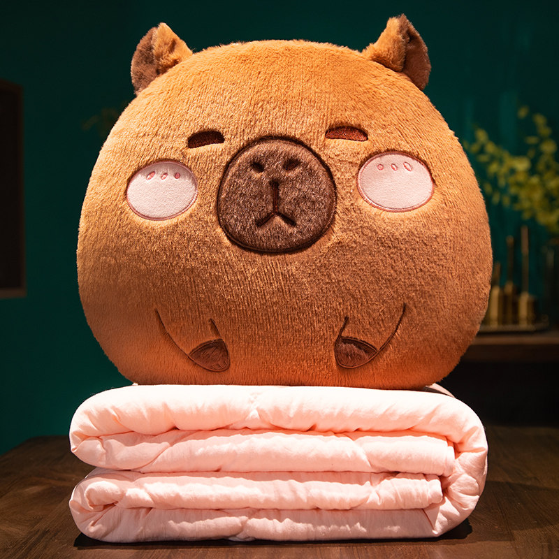 水豚抱枕被子两用办公室午睡枕头车载汽车靠枕空调毯子二合一午休,居家布艺,抱枕被,淘宝优惠券,粉丝福利购,淘宝优惠卷