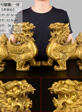铜貔貅摆件一对黄铜招貔恘天禄铜制皮丘财客厅办公室开业礼品大号