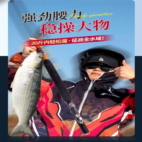 拍竿梭鱼竿超硬超轻海钓竿内走线钓鱼竿可视中通竿高碳素暴风二代