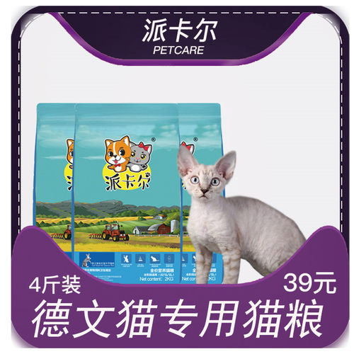 派卡尔德文卷毛猫德文幼成猫鱼肉
