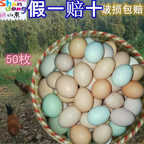正宗土鸡蛋农家散养新鲜纯天然