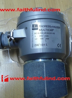 E+H DC16-RAGR1A1H11B 恩德斯豪斯全新电容物位计 Multicap