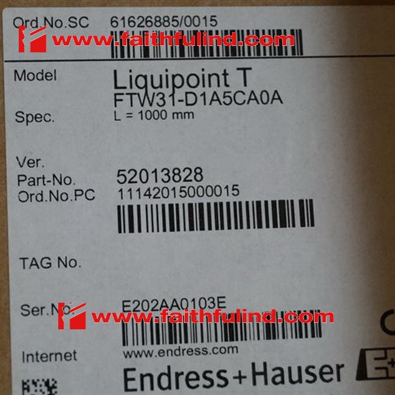 E+H FTW31-D1A5CA0A 恩德斯豪斯全新电导物位计 Liquipoint T