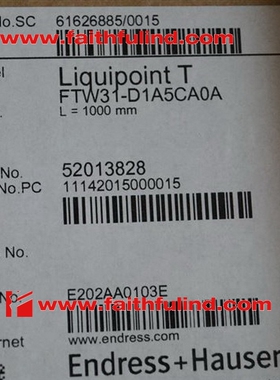 E+H FTW31-D1A5CA0A 恩德斯豪斯全新电导物位计 Liquipoint T