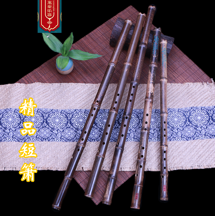 龙秦箫乐器箫专业演奏箫紫竹洞箫