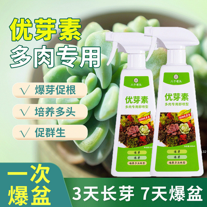 八个老头多肉用优芽素爆侧芽促芽爆芽培育叶插苗老桩多头生长素