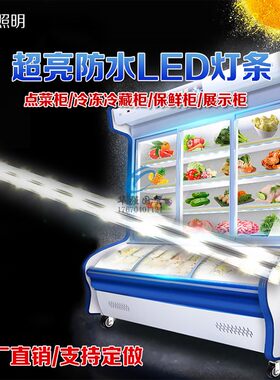 雪亮欧驰宝雪村点菜柜LED灯条12V