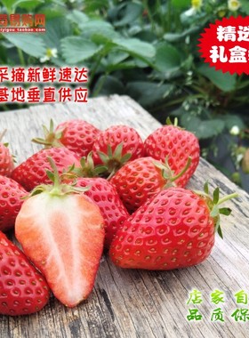 上海青浦红霞奶油草莓 无公害农产品新鲜时令水果3.3斤礼盒装包邮