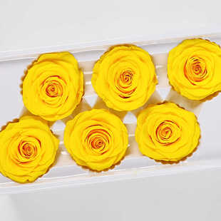 永生花黄玫瑰国产A级4-5/5-6花头玫瑰的故事热烈自由火diy材料包