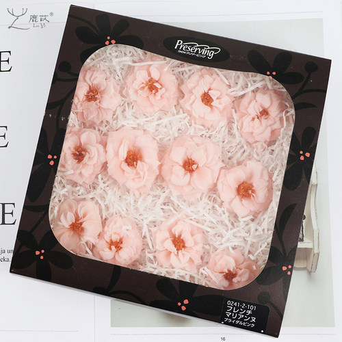 鹿苡大地农园日本永生花02412蔷