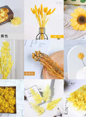 永生花黄色系花材手工制作装饰手作苔藓绣球风铃草干花diy材料包