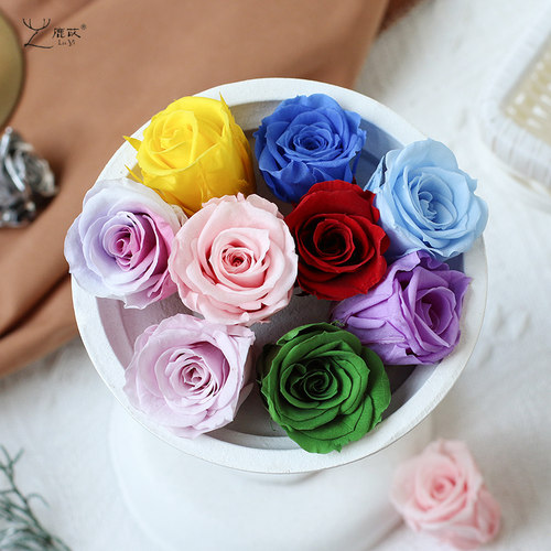 玫瑰永生花2-3cm多色A级