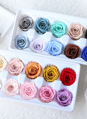 国产永生花玫瑰3-4cm花头1朵装A级多色中小号装饰DIY材料包白色