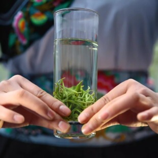 苗野灵芽保靖黄金茶绿茶特级高山云雾茶浓香型耐泡散装袋装春茶